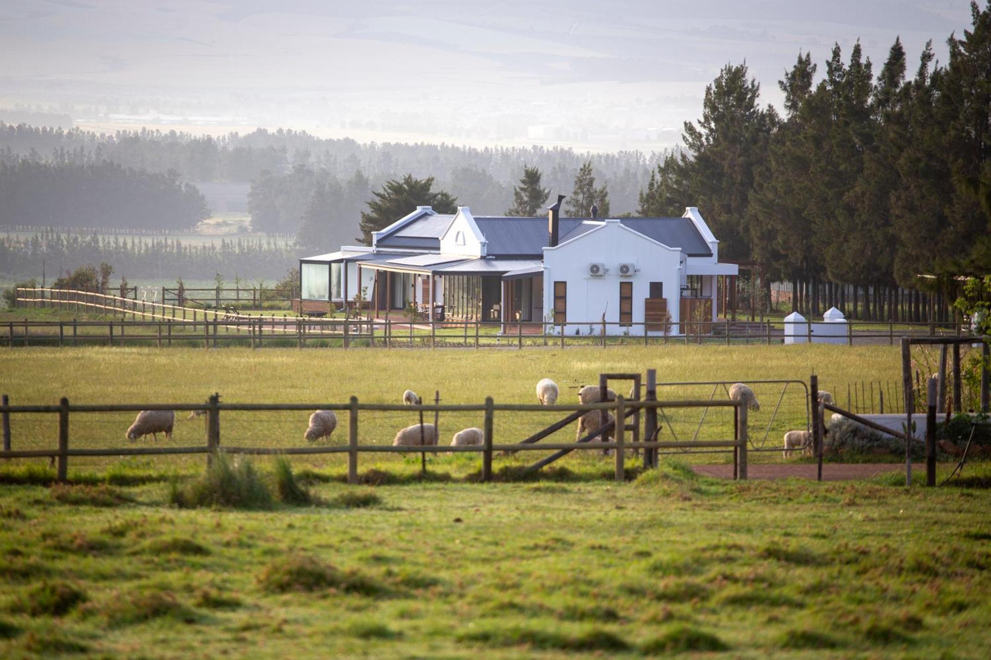 Raptor Rise Tulbagh Esterno foto